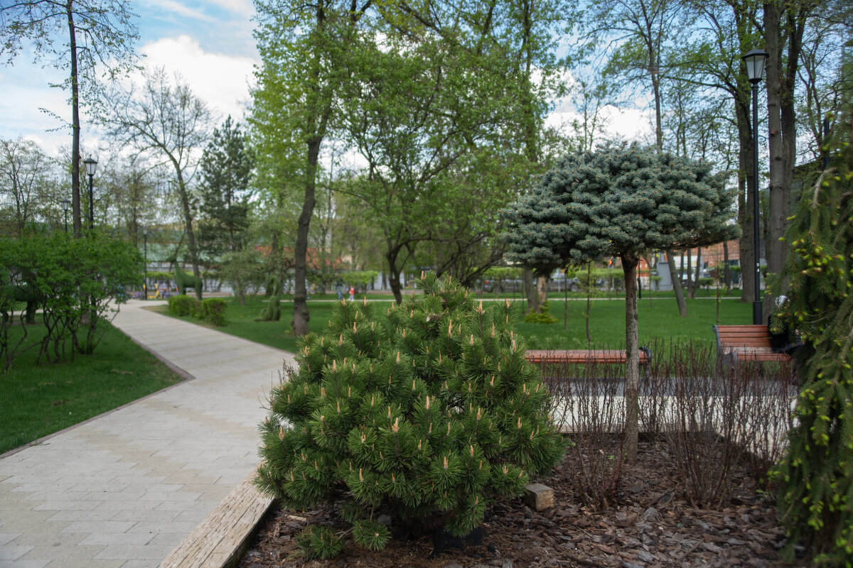 этюд в городе - Роман Шаров