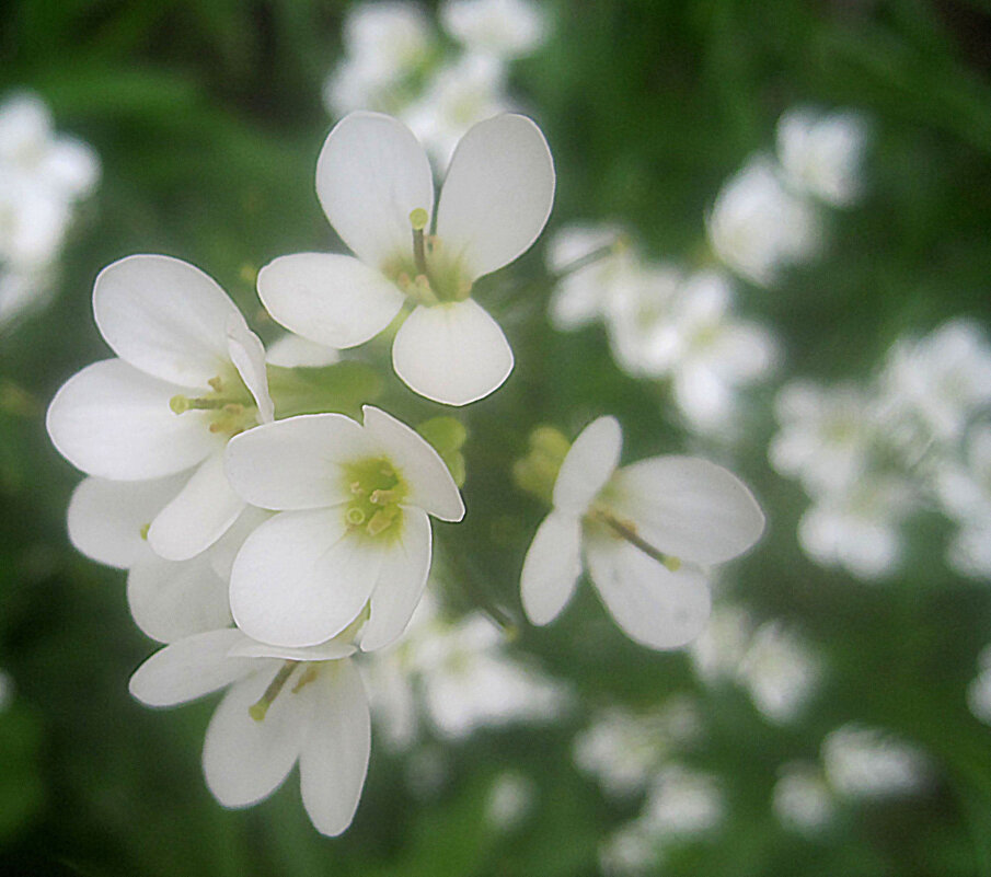 Весеннее - Елена Семигина