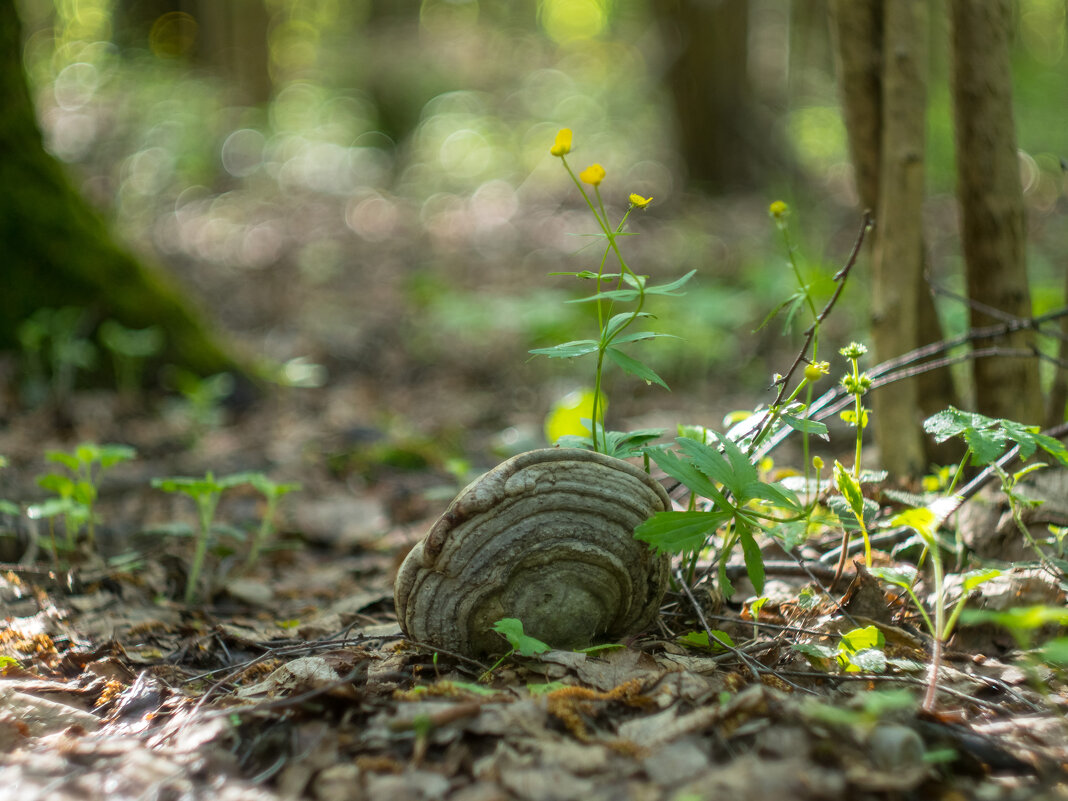 ___ - Yuriy V ___ - Yuriy V