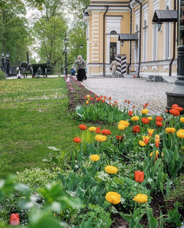 Про Питер - Владимир Колесников Про Питер - Владимир Колесников