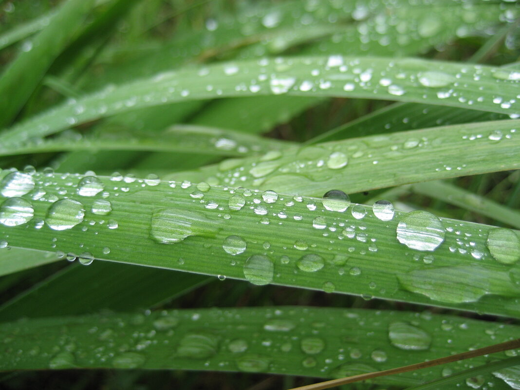 Дождь - Anna Ivanova Дождь - Anna Ivanova