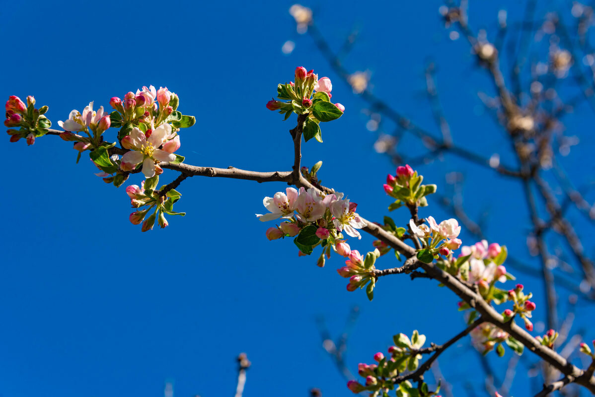 *** - Дмитрий Лупандин *** - Дмитрий Лупандин