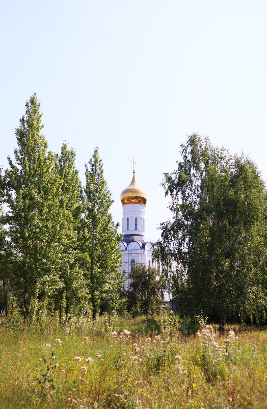 Церковь - Дмитрий Петров