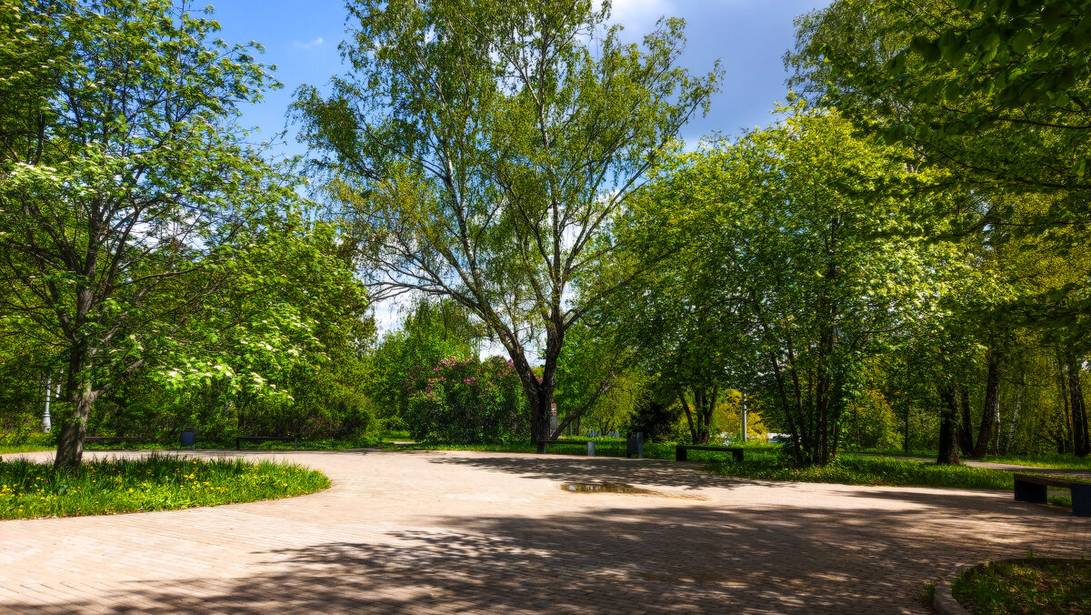 Парк. - Владимир Безбородов