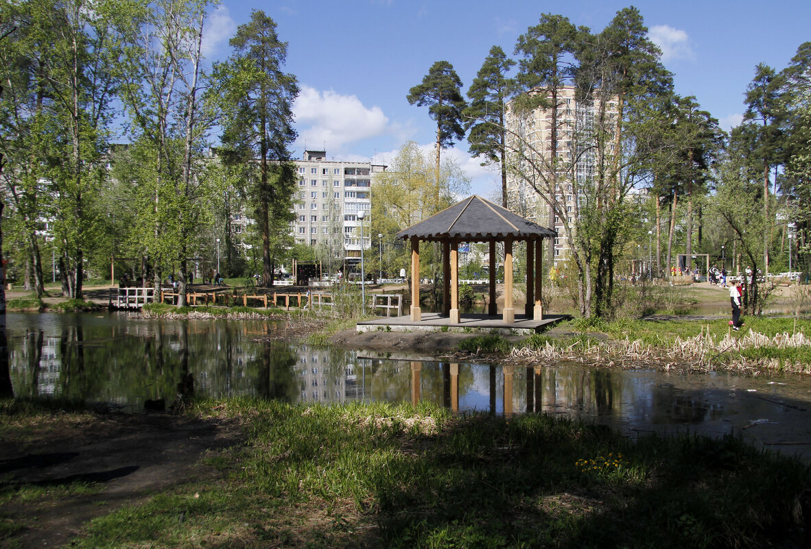 В парке "Золотые пески" - Евгений Шафер В парке "Золотые пески" - Евгений Шафер