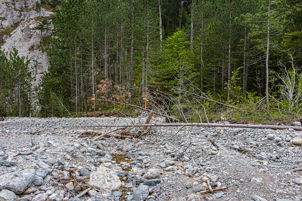 После селя - Юрий Яловенко После селя - Юрий Яловенко