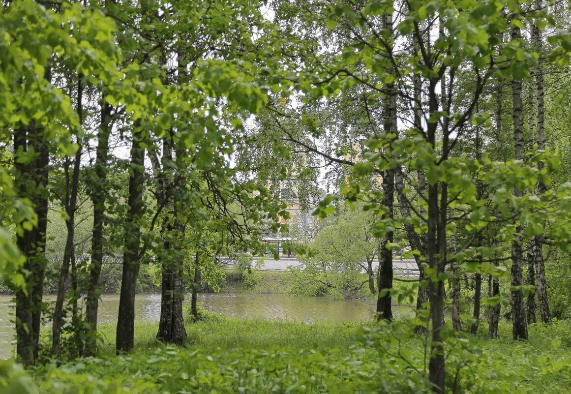 Зеленый май - ZNatasha - Зеленый май - ZNatasha -