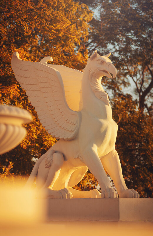 Грифоны Большой Митридатской лестницы. - Анатолий Щербак