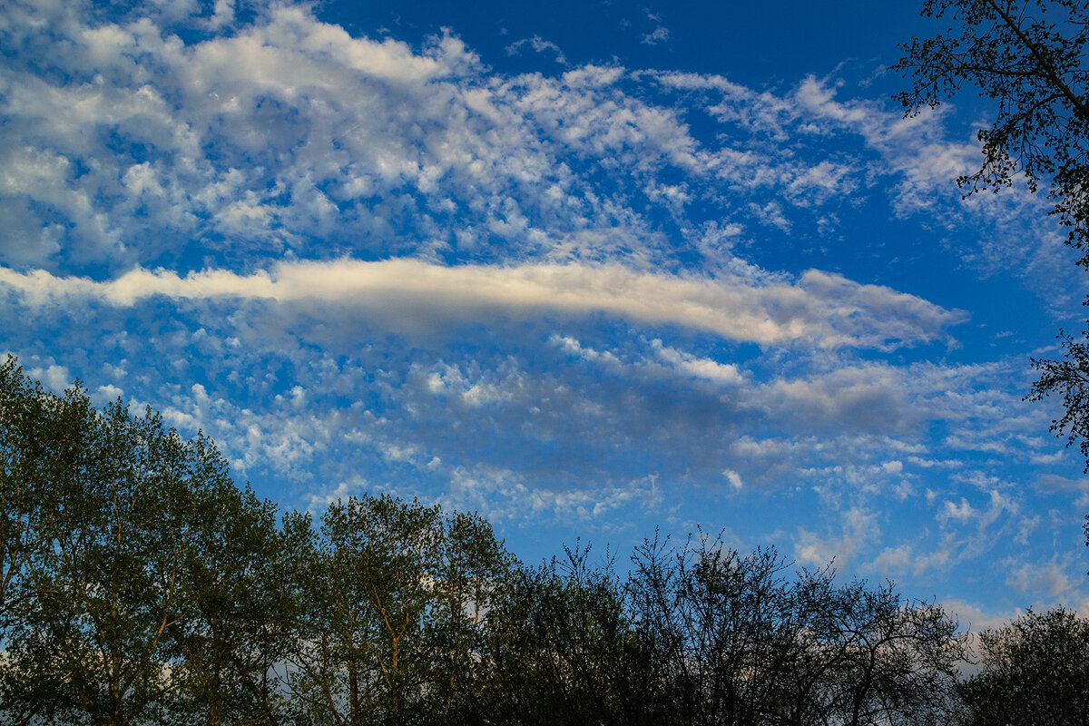 Облака над городом - Людмила Фил Облака над городом - Людмила Фил