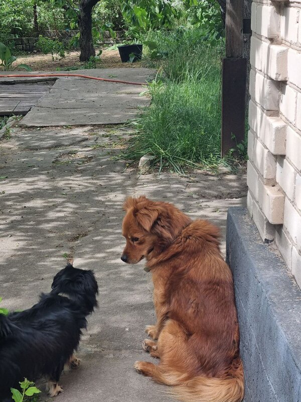 Вопрос :) - Наталья 