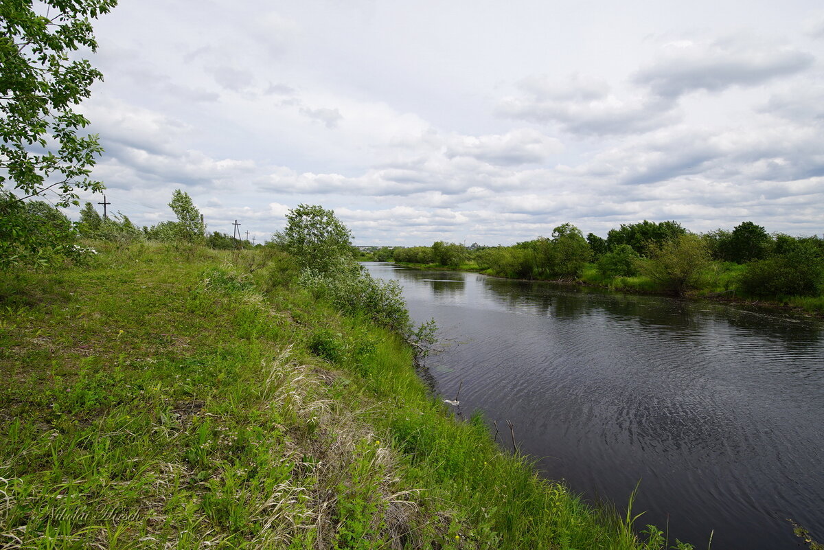 По Турье... - Николай Гирш