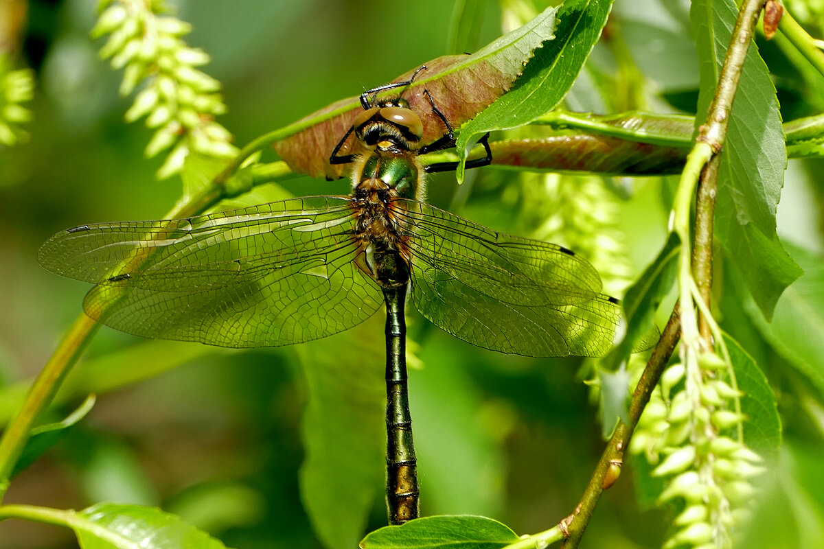 из снятого позавчера 2 - Александр Прокудин из снятого позавчера 2 - Александр Прокудин
