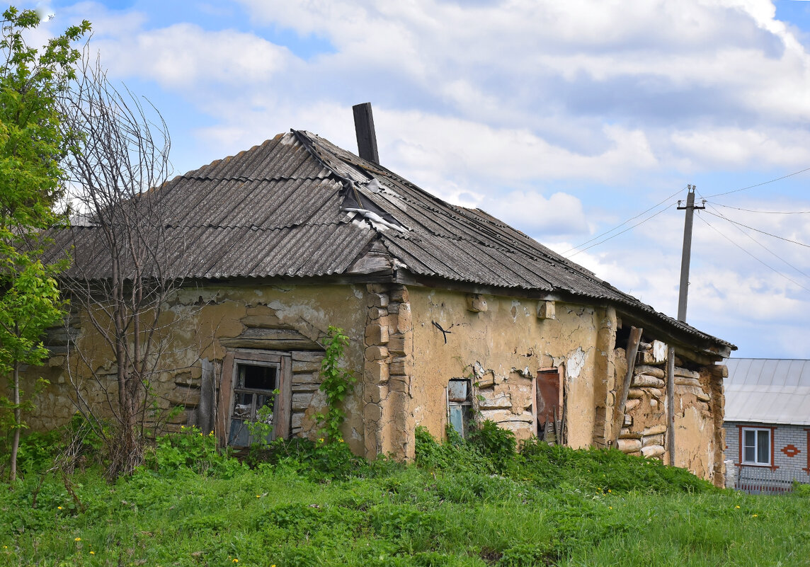 Без хозяев! - Валентина  Нефёдова 