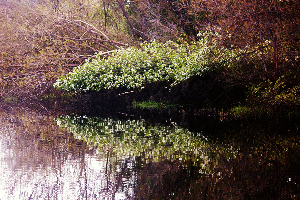 ** - Сергей Кочнев
