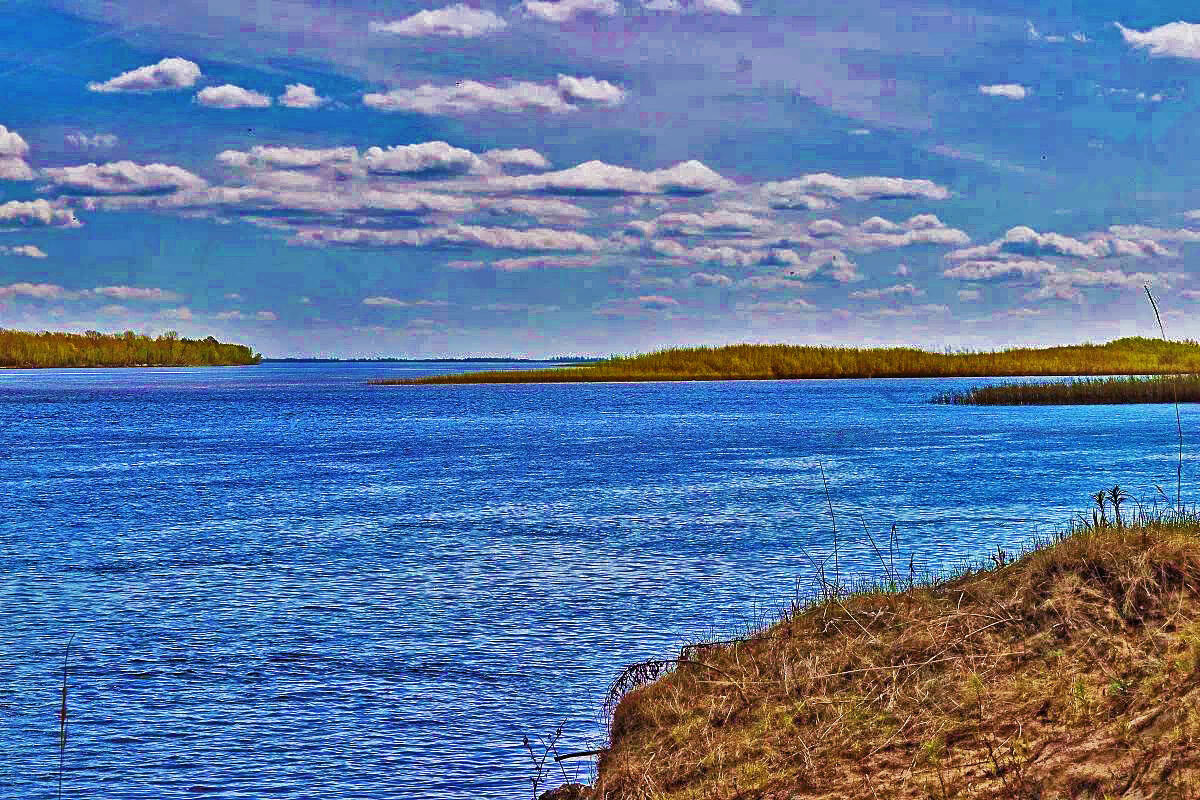 Начало июня..Обь разлилась! - Владимир 