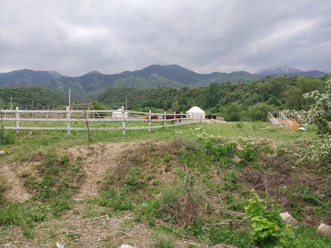 Talgar. - Murat Bukaev 