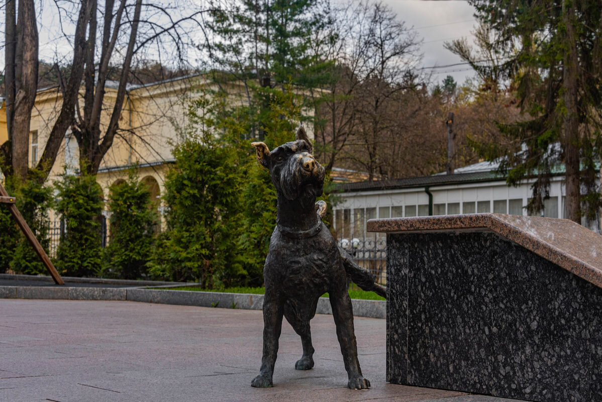 пес - Дмитрий Лупандин пес - Дмитрий Лупандин