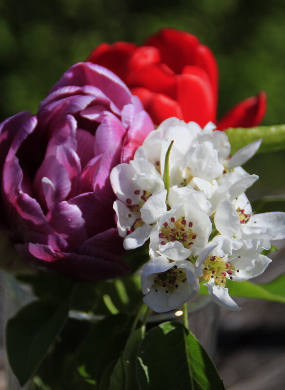 Цветочки :) - Татьян@ Ивановна Цветочки :) - Татьян@ Ивановна