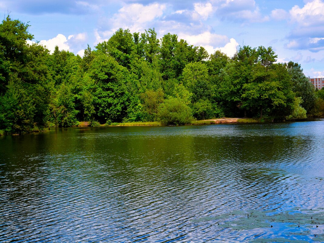 Чебоксары. Вид на правый берег Ботанического пруда. - Пётр Чернега Чебоксары. Вид на правый берег Ботанического пруда. - Пётр Чернега