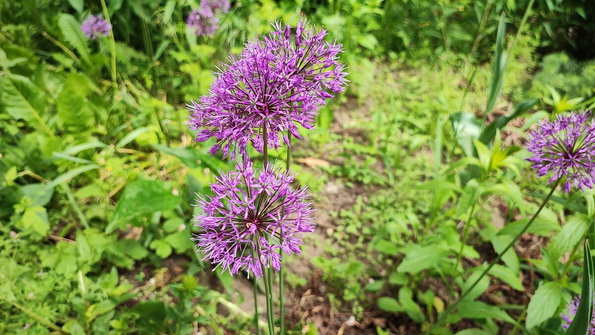 ,,, - Сергей Тимоновский