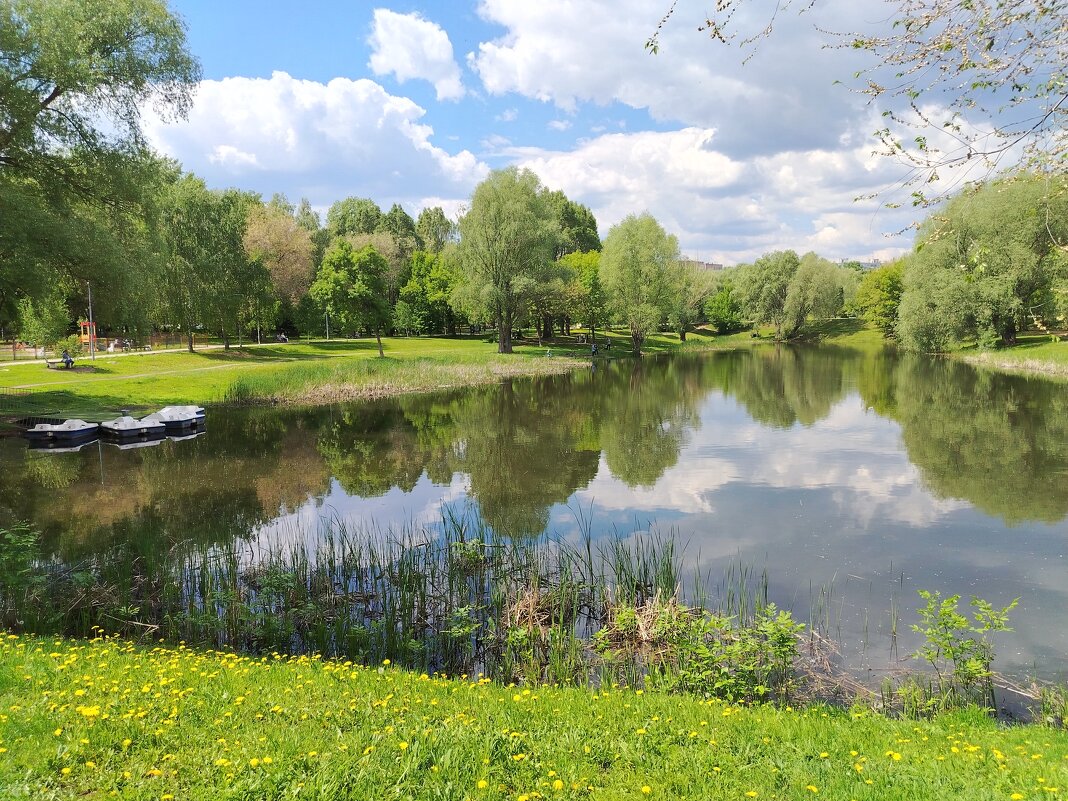 Чудесный, весенний денёк! - Надежда Чудесный, весенний денёк! - Надежда