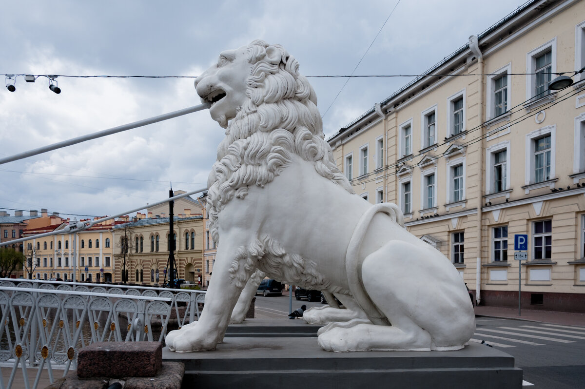 *** - Светлана . *** - Светлана .