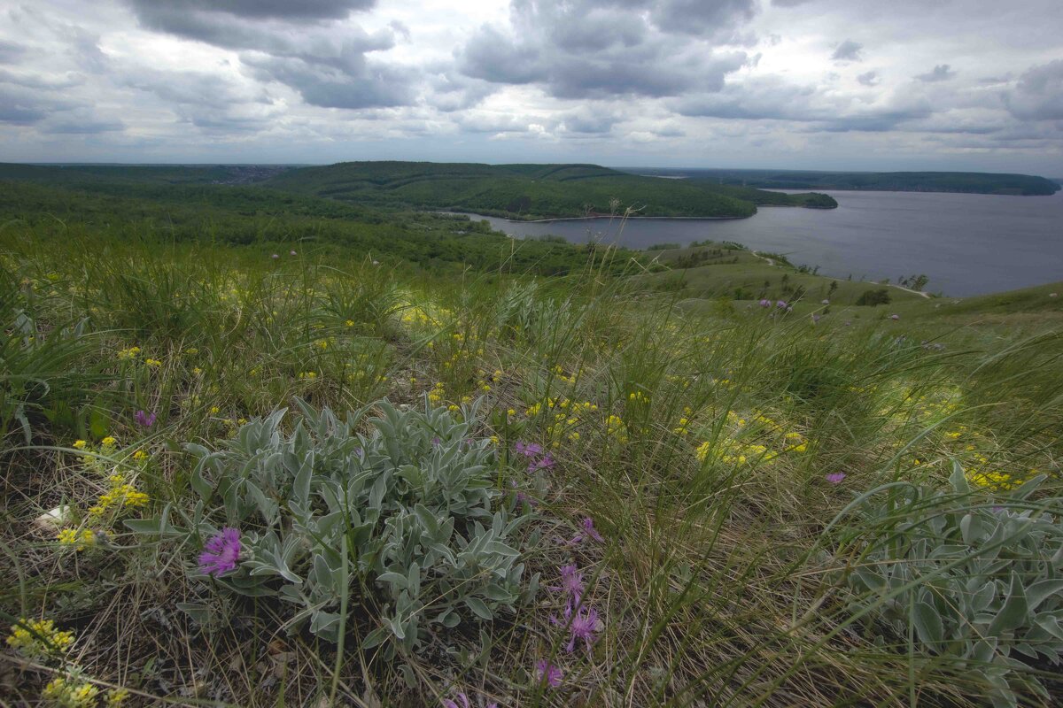 цветущий май на Молодецком кургане - Ирина Милонова цветущий май на Молодецком кургане - Ирина Милонова