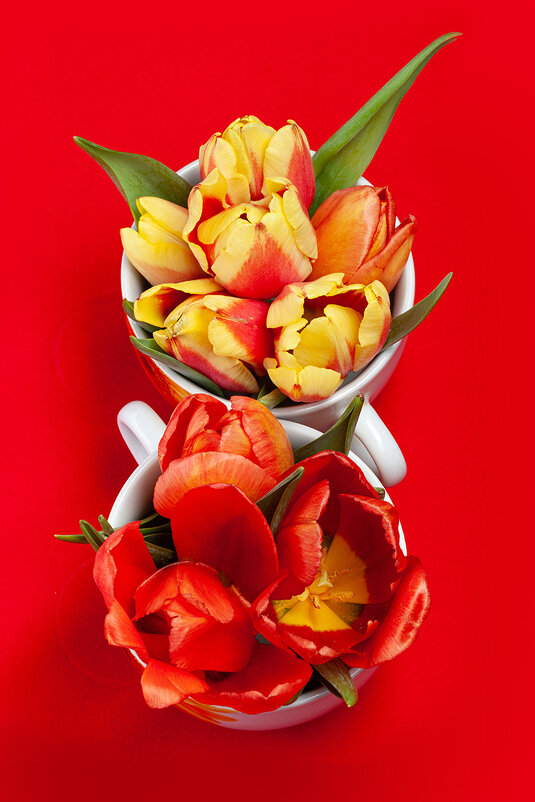 красный день календаря - Denis Doroshenko