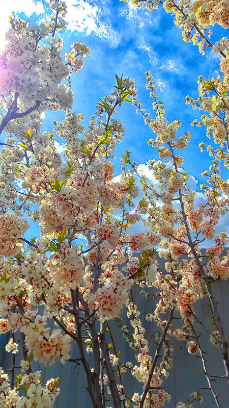 ... - Наталья 