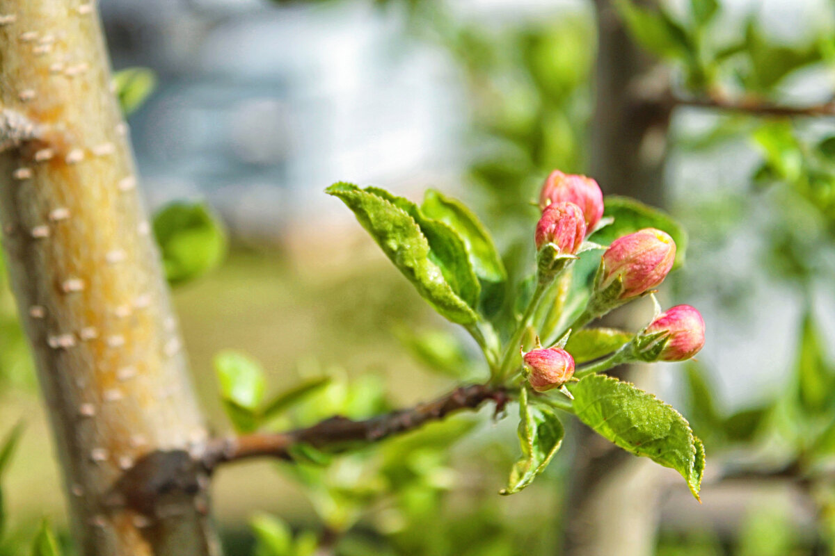 ... - Наталья 