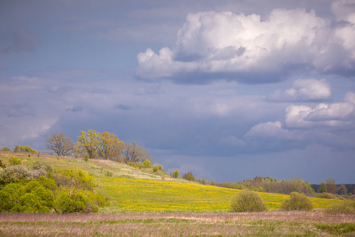 **** - Елизавета .