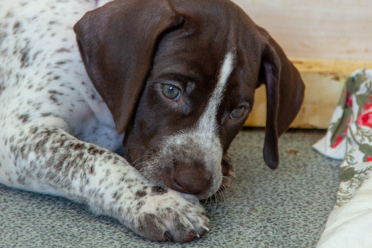 скоро уже? - Павел Кошалеф скоро уже? - Павел Кошалеф