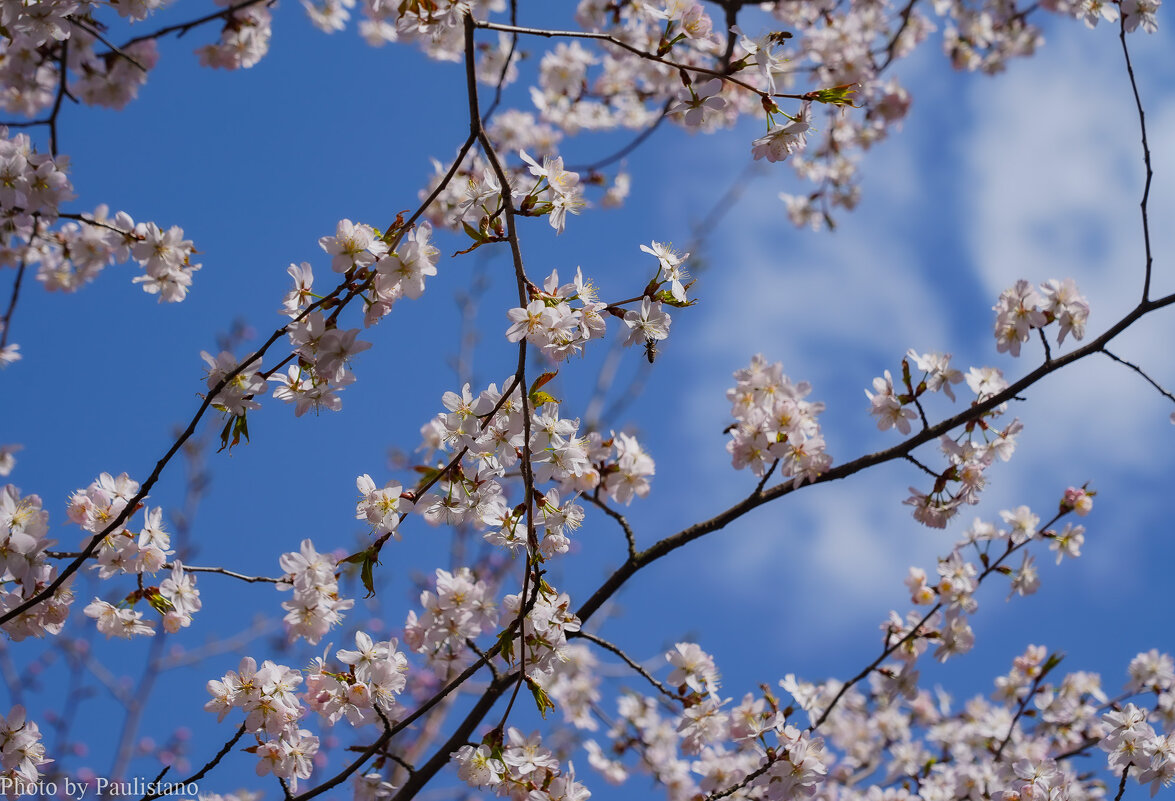 Небо апреля... - Владимир Жданов Небо апреля... - Владимир Жданов