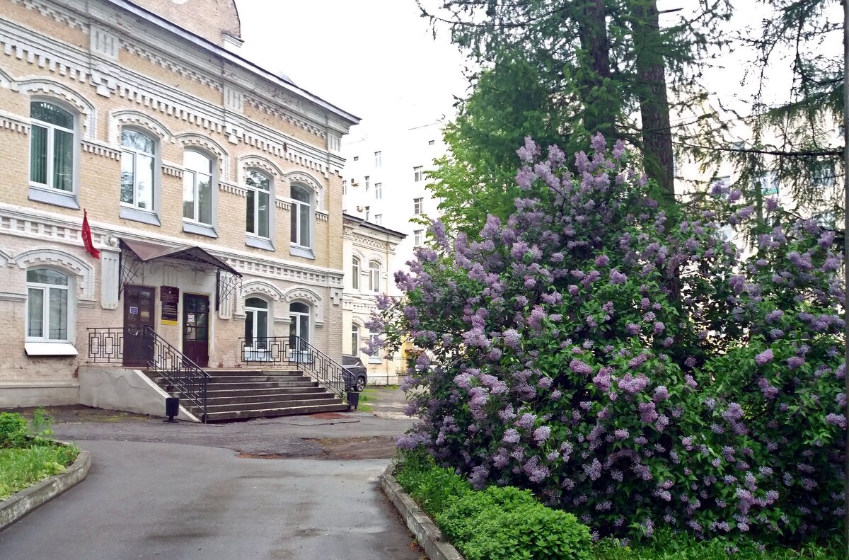 Во дворе школы - Galina Solovova