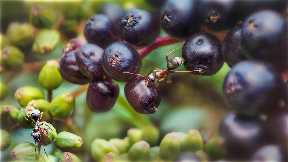 Деловые - AZ east3 Деловые - AZ east3