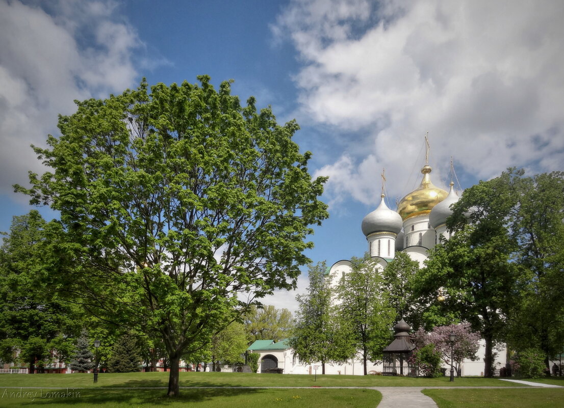 Новодевичий монастырь - Andrey Lomakin