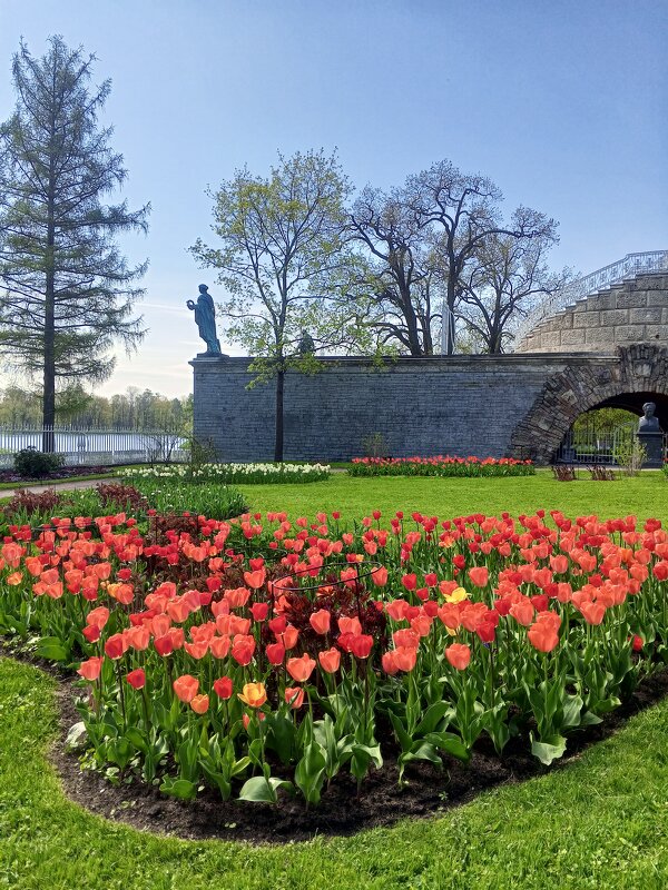 Весна - Сапсан 