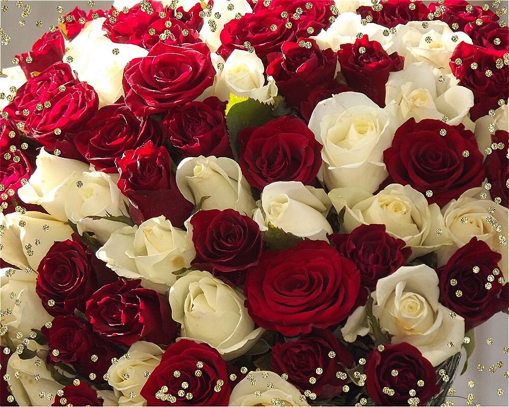 Прекрасной недели,друзья! - Нина Андронова