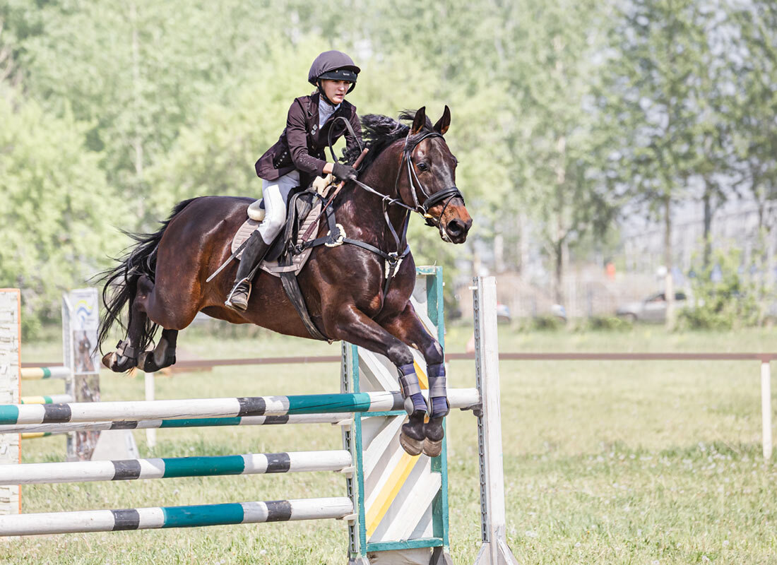 Конкур - SanSan 