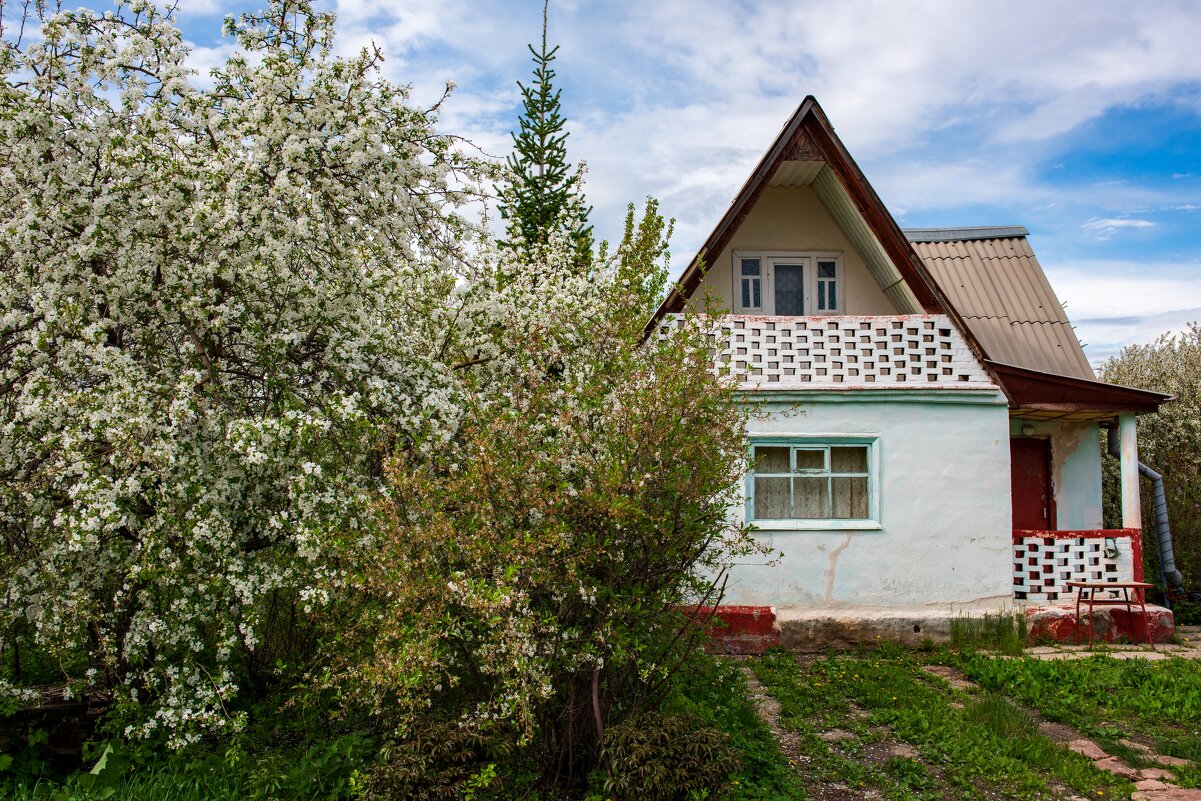 Аза окошком месяц май... - Петр 