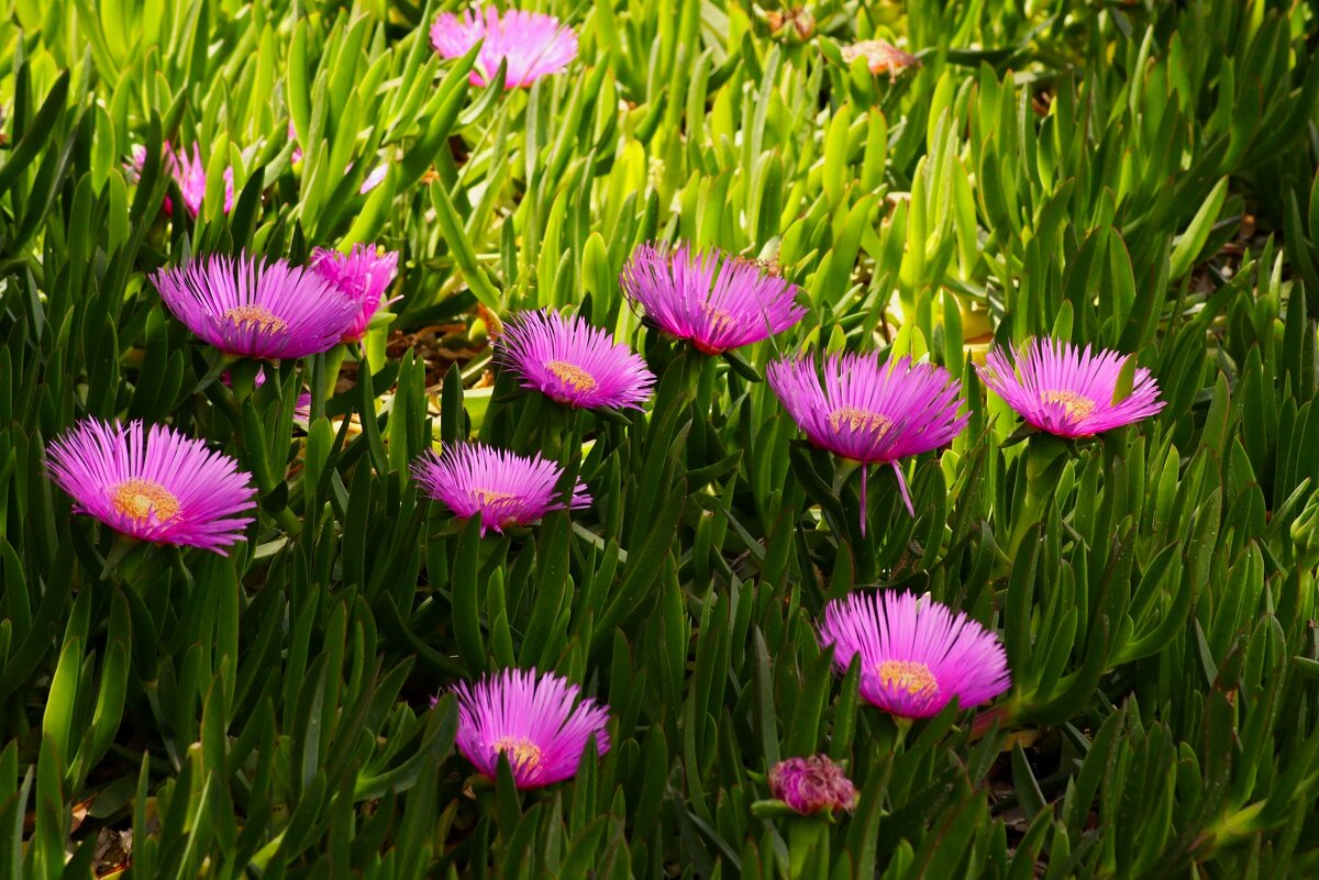Доброе утро - Юрий. Шмаков Доброе утро - Юрий. Шмаков