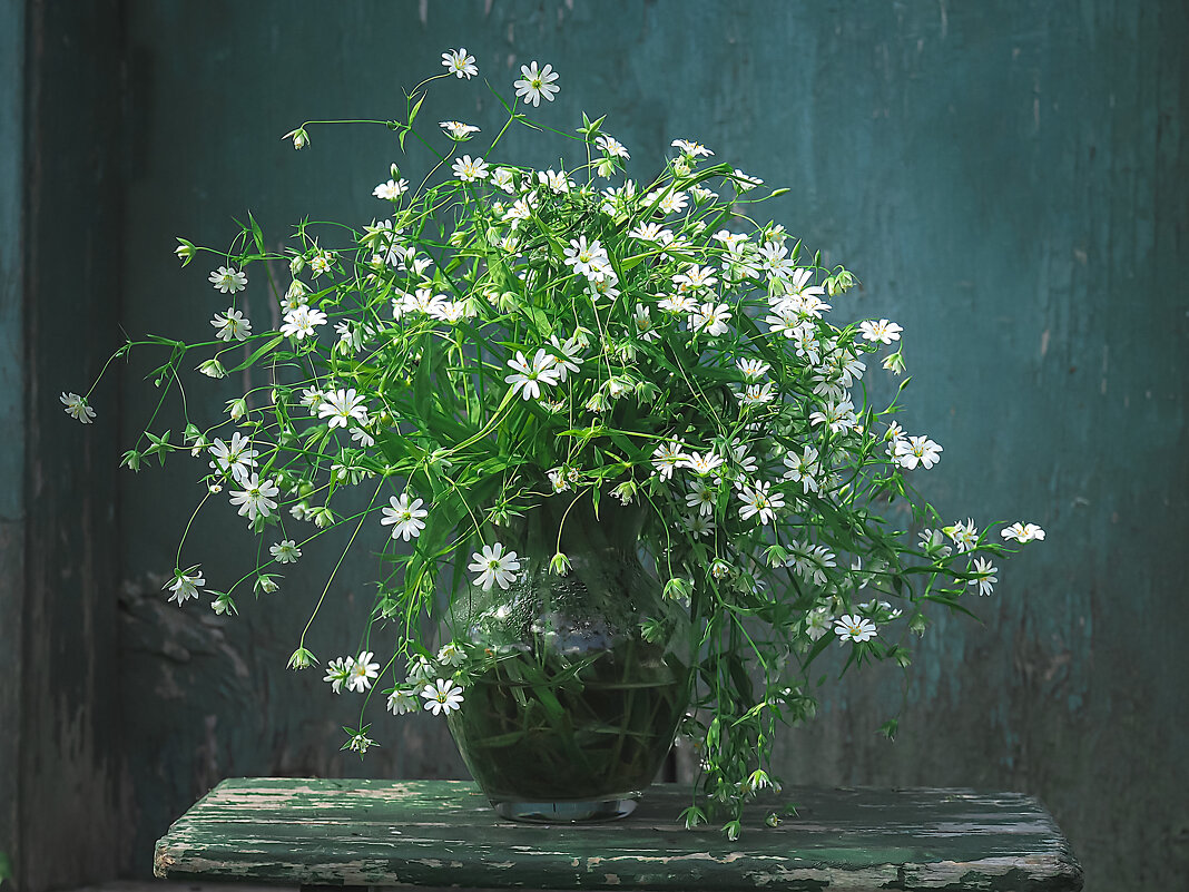 весенний - Александра [-/ весенний - Александра [-/