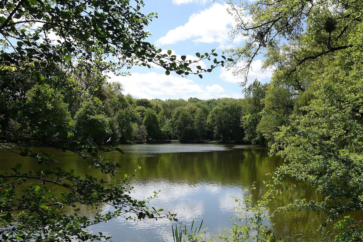 Майский пейзаж - Рита Симонова Майский пейзаж - Рита Симонова