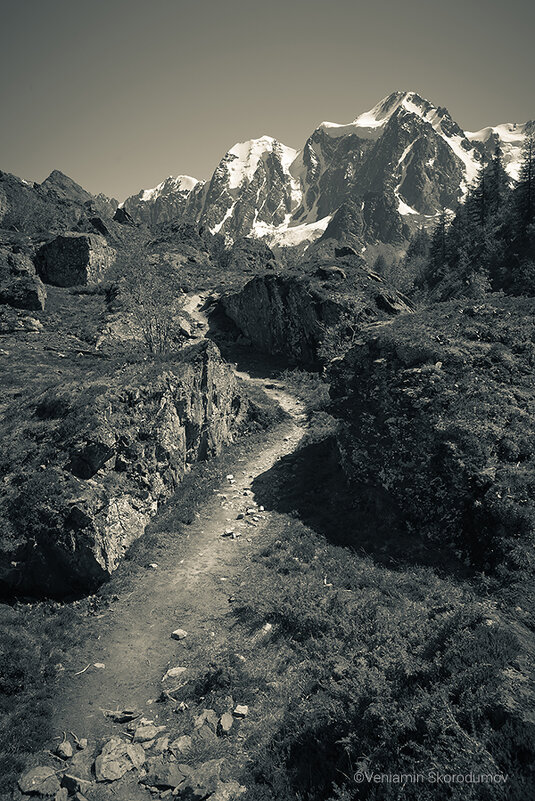 Дорогора в горы - Вениамин Скородумов Дорогора в горы - Вениамин Скородумов