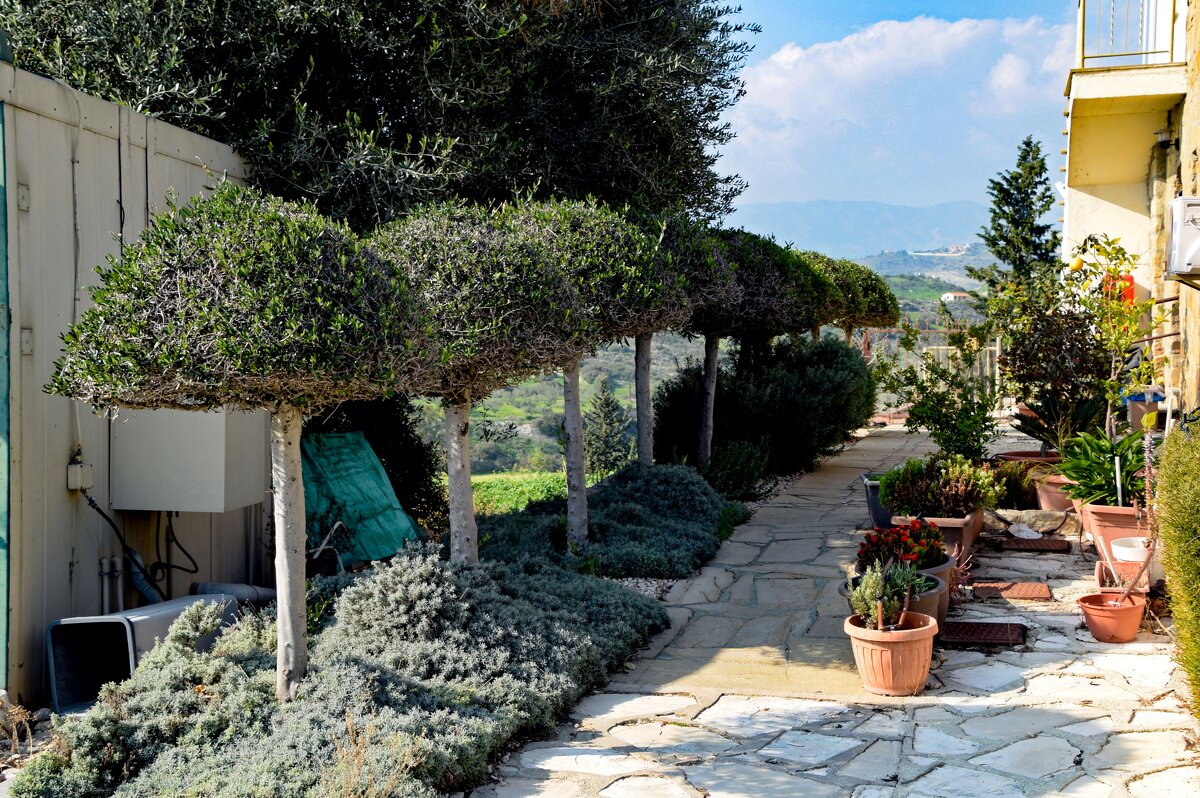 Деревня - Oleg4618 Шутченко Деревня - Oleg4618 Шутченко