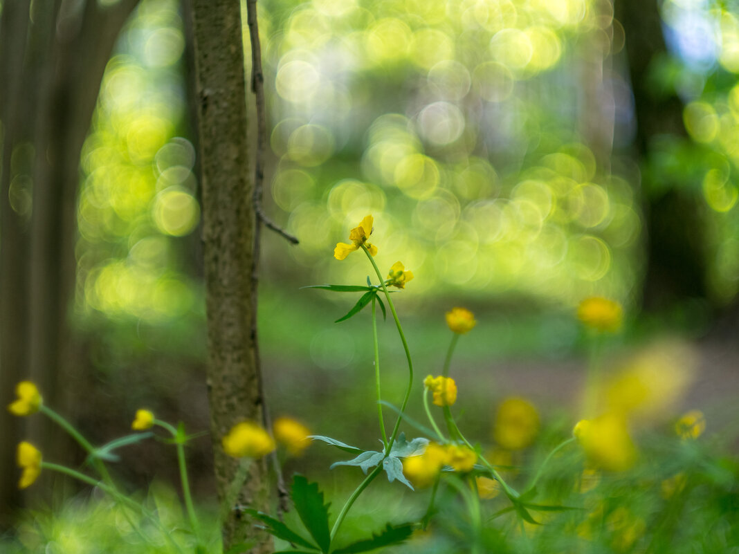 ___ - Yuriy V ___ - Yuriy V