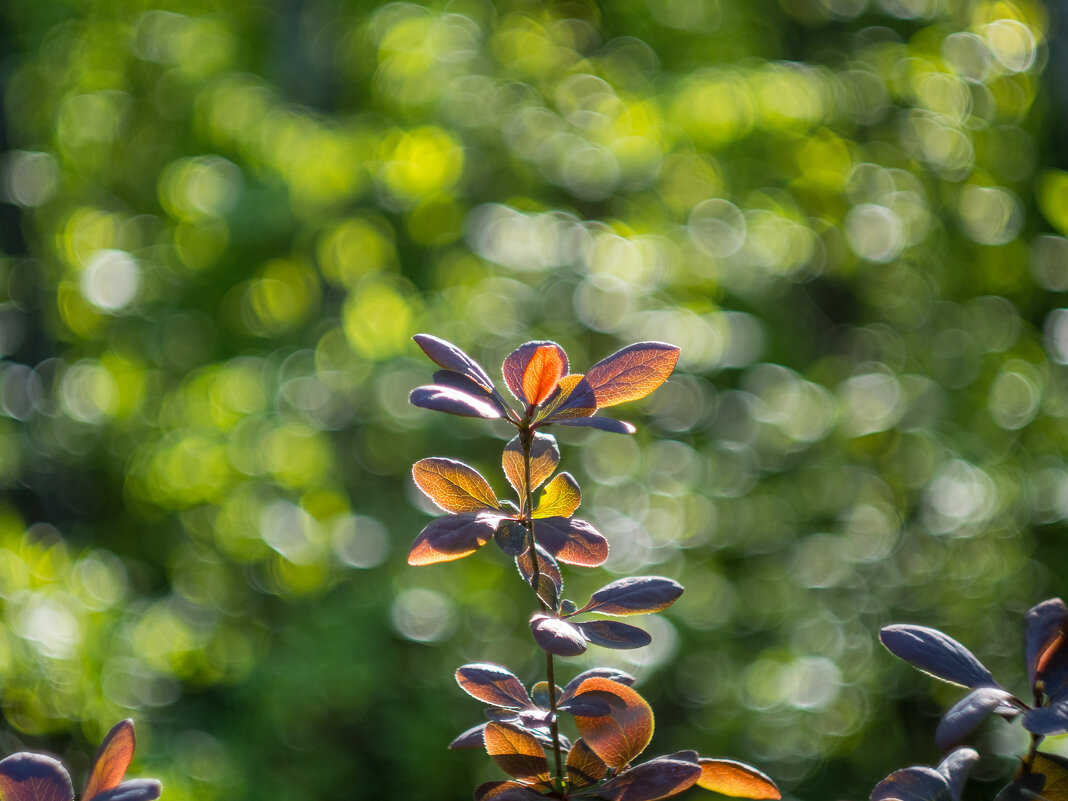 ___ - Yuriy V ___ - Yuriy V