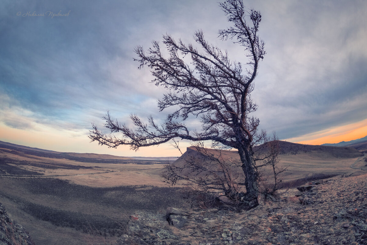 Манящий в даль простор. - Николай Привалов