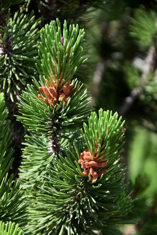 *** - Павленко Михаил *** - Павленко Михаил