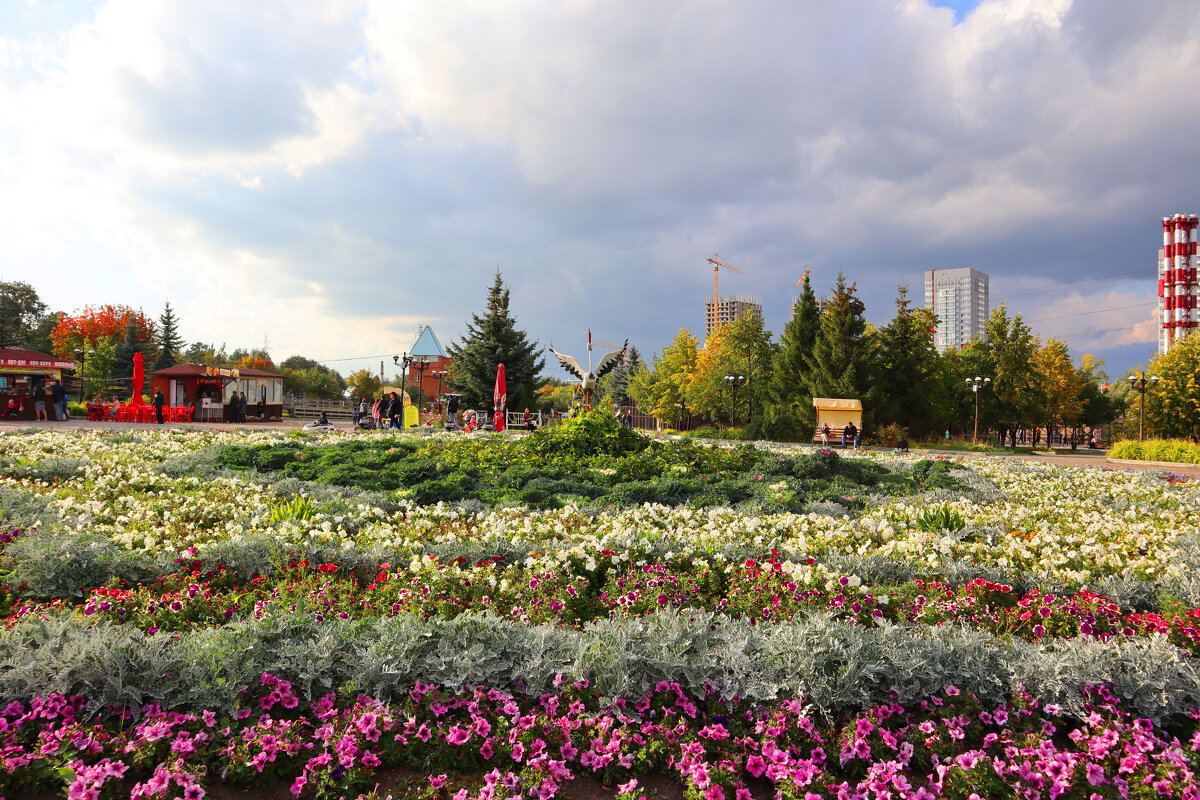 В зоопарке - Дмитрий Петров